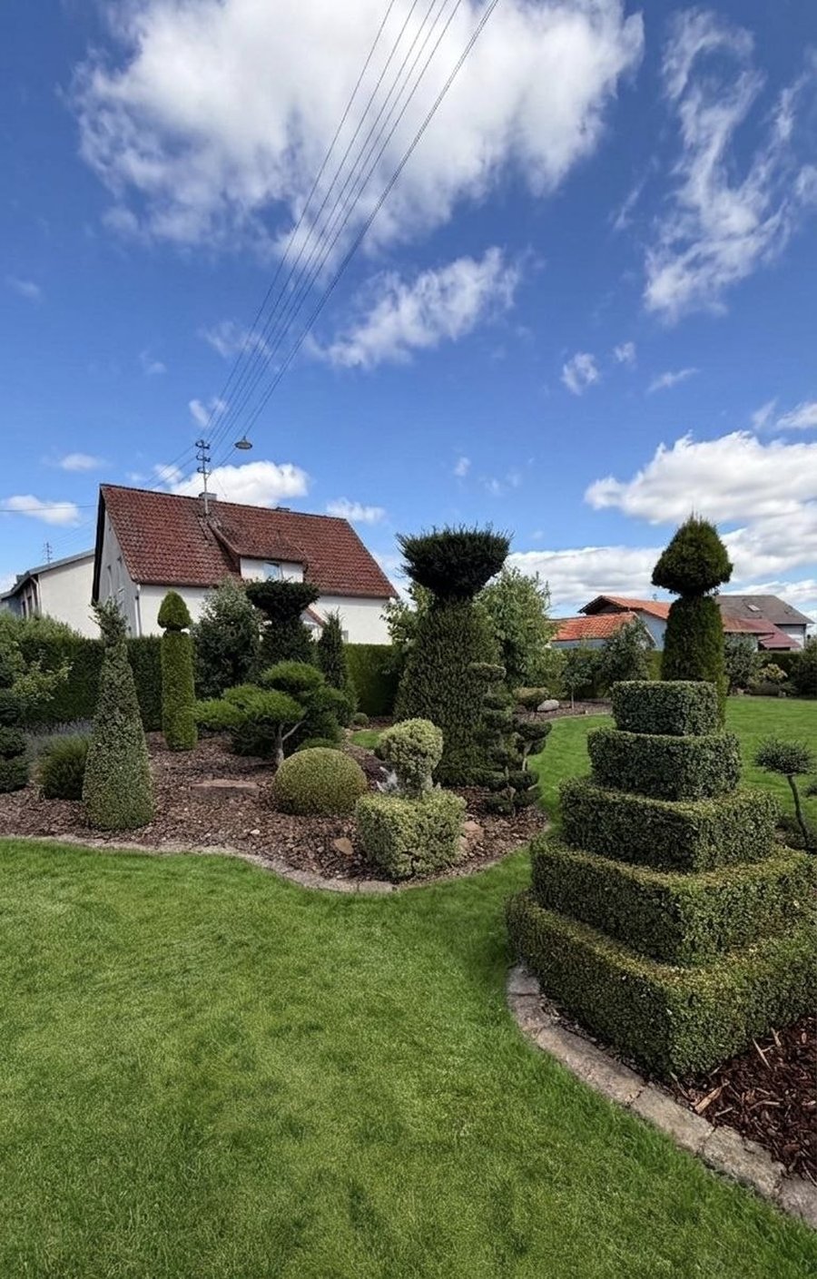 Formschnitt-Hecke — fachgerechter Rückschnitt durch Gartenpflege Buzhala aus Külsheim-Hundheim