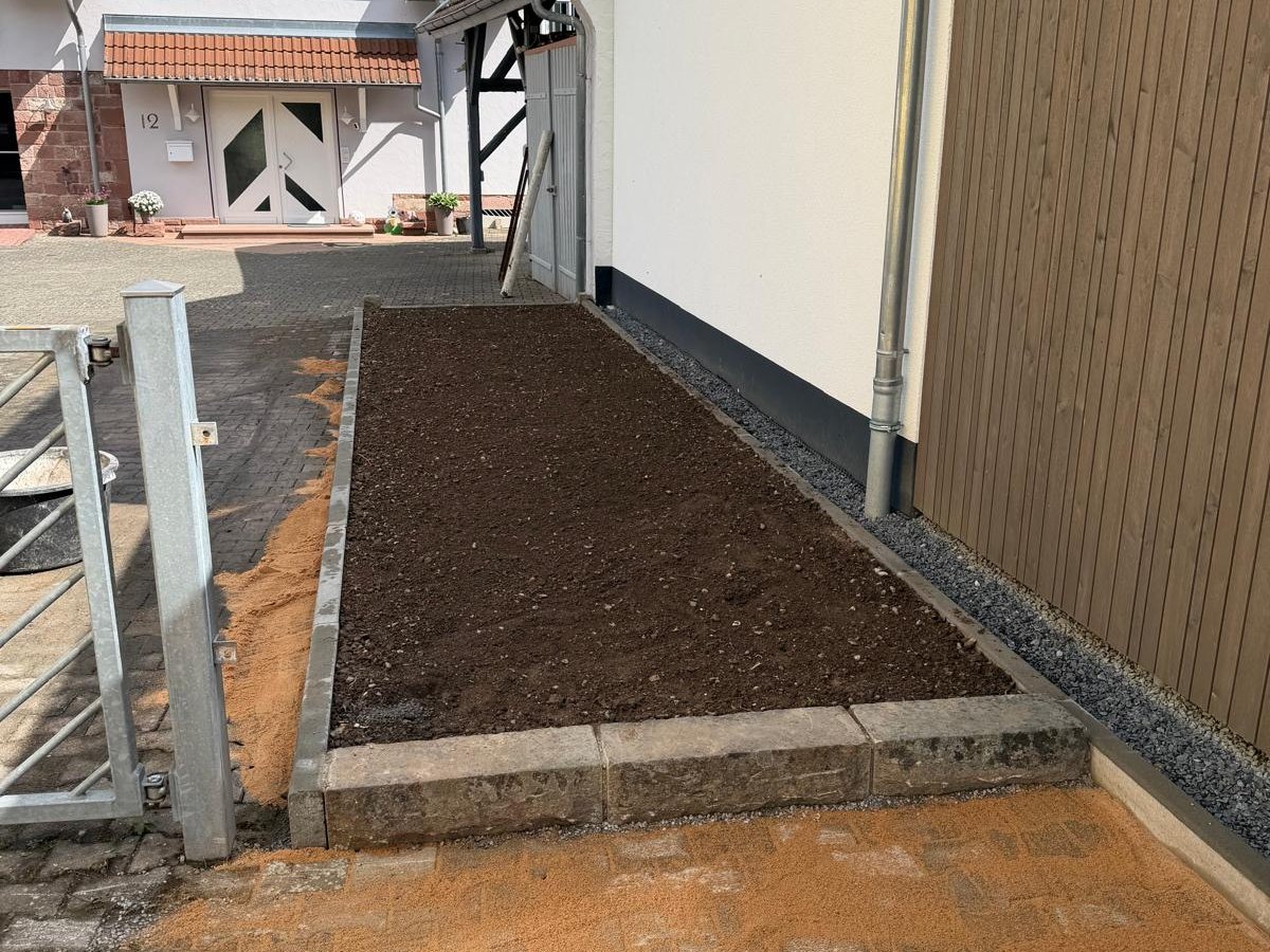 Formschnitt-Hecke nach fachgerechtem Schnitt durch Gartenpflege Buzhala