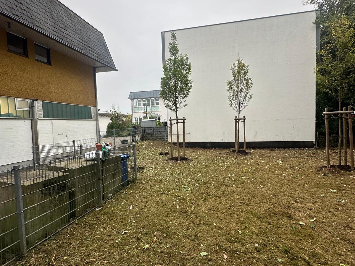 Sauber geschnittene Hecke nach Heckenpflege durch Gartenpflege Buzhala