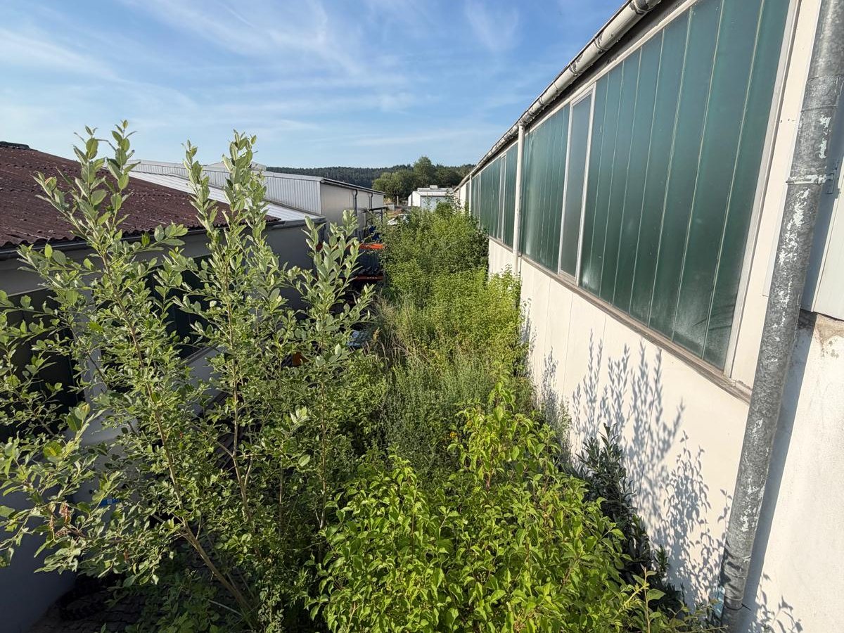 Verwahrloster Garten vor der Grundstückspflege – Main-Tauber-Kreis