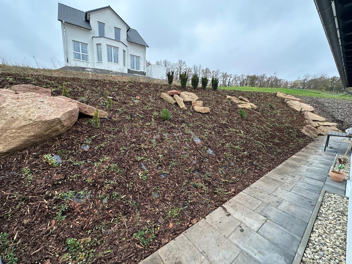 Pflegeleichter Vorgarten nach Gartenarbeit von Gartenpflege Buzhala