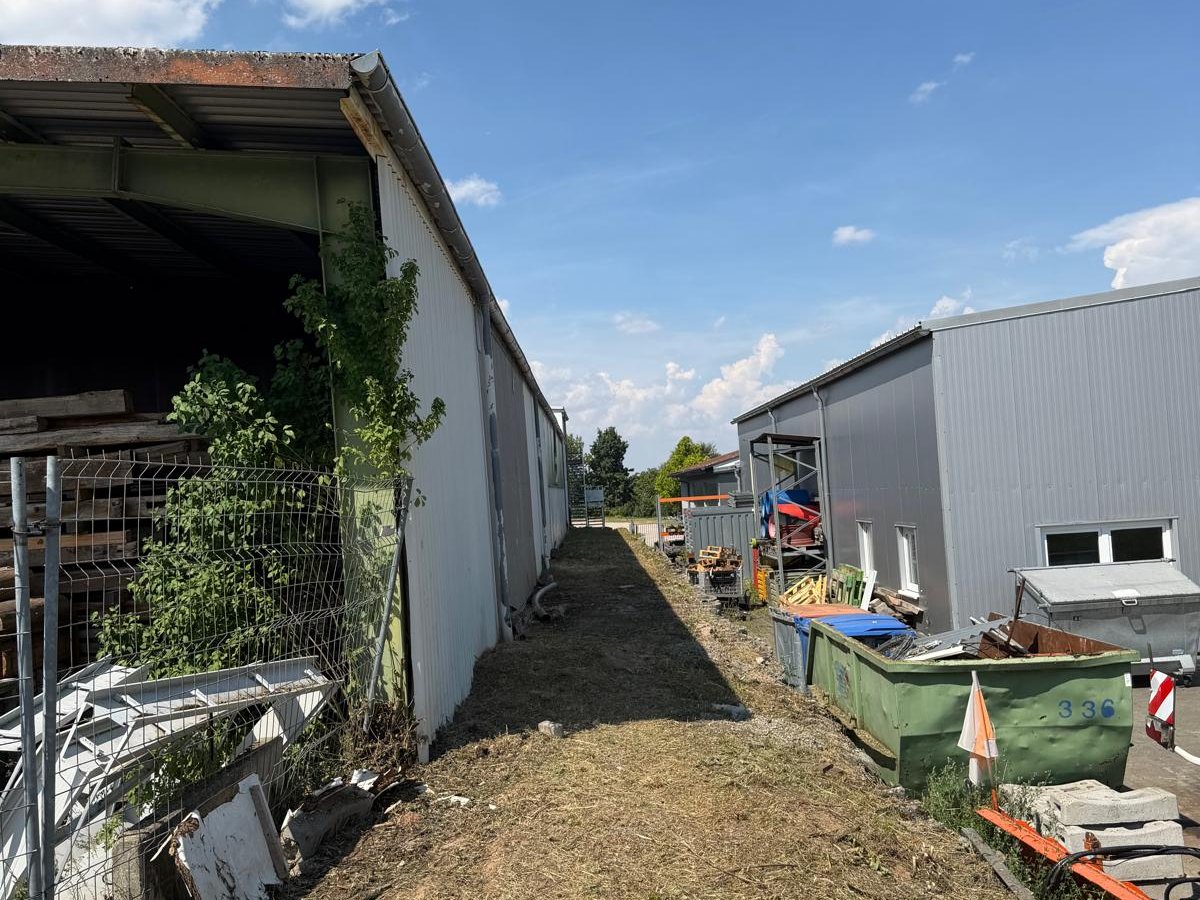 Komplett sanierter Garten nach Gartenneuanlage durch Gartenpflege Buzhala